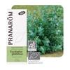 Pranarom Huile Essentielle Bio Eucalyptus Globuleux 10 мл