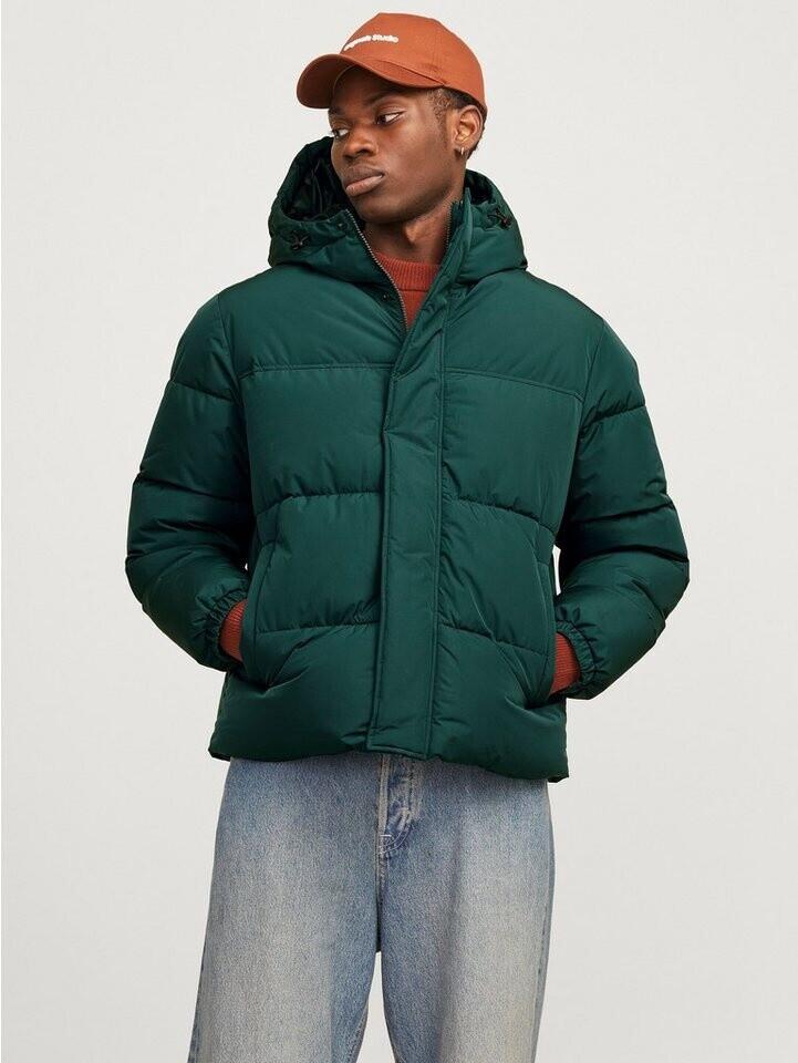 Зимняя куртка Jack & Jones Bradley Down Jacket (12256974) Jjebradley Puffer Hood Sn (12256974) магический лес