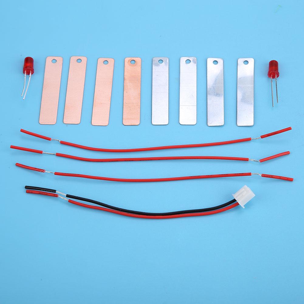 Children DIY Homemade Fruit Battery Power Educational Electricity Generating Experiment