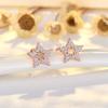 Exquisite Micro-set Zircon Five-pointed Star Earrings for Women New Light Luxury Niche Super Flash Earrings