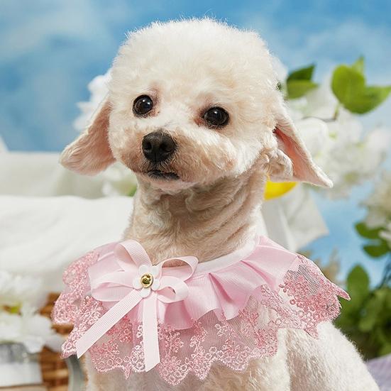 Регулируемое кошачье полотенце со слюной, долговечное шоу, уникальный очаровательный нагрудник-шнурок, украшение для галстука для домашних животных