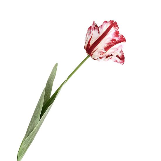 Высококачественный искусственный цветок, износостойкий, долговечный, яркий цвет