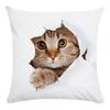 Cute Cat Pattern Of Animals Double-Sided Printed Pillow Cover Short Plush Suitable Living Rooms Bedrooms Throw Cushion Cover