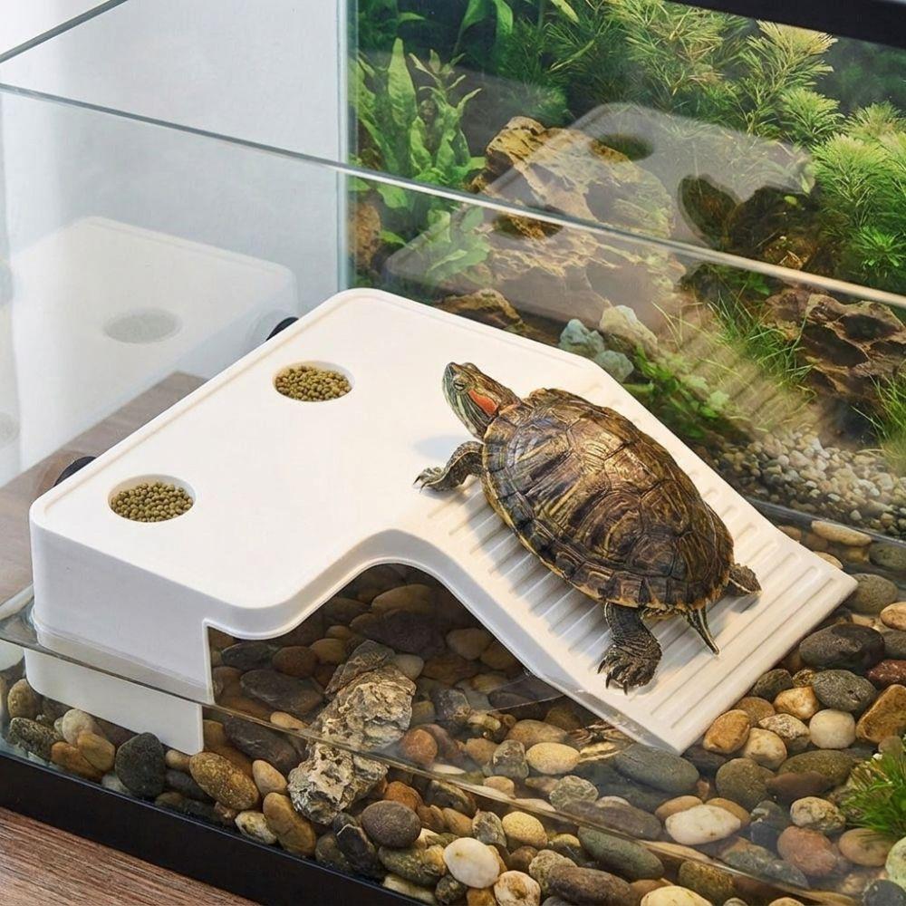 Stable Turtle Floating Platform Non-Slip Turtle Climbing Slope Reptile Ramp Aquarium