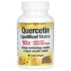 Quercetin Lipomicel Matrix, 250Mg, 30 Liquid Softgels