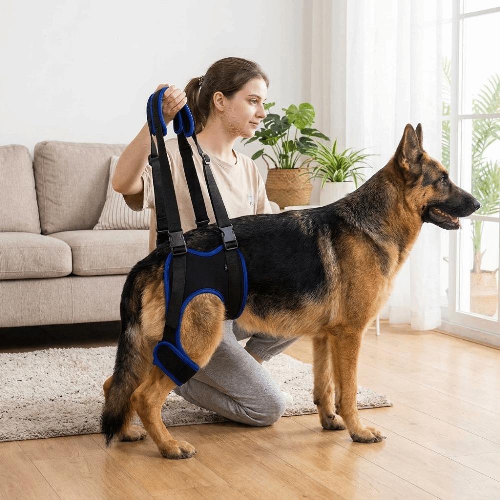 Adjustable Dog Rear Leg Support Breathable Dog Lift Harness Mobility Aid