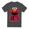 Sesame Street Unisex Adult Elmo Smile T-Shirt