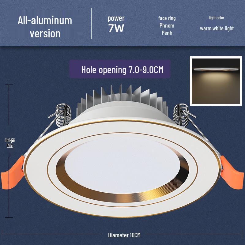 Recessed Ceiling Downlight for Living Room, 5-Inch Cutout, Bullseye Design