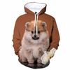 Осенние животные милые собаки 3D принт толстовки мужчины женщины мода повседневные толстовки большие толстовки с капюшоном пуловеры спортивный костюм одежда