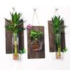 Vintage Wall Mount Glass Vase Creative Plant Flower Pots Aquarium Hydroponic Container Hotel