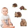 Vivid And Realistic Wild Hedgehog Model Perfect For Desktop Decoration And Play