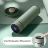Термокружка-термос объемом 500 мл с дисплеем температуры, из нержавеющей стали, с разделителями, термос-бутылка с вакуумной изоляцией, подарок на День отца