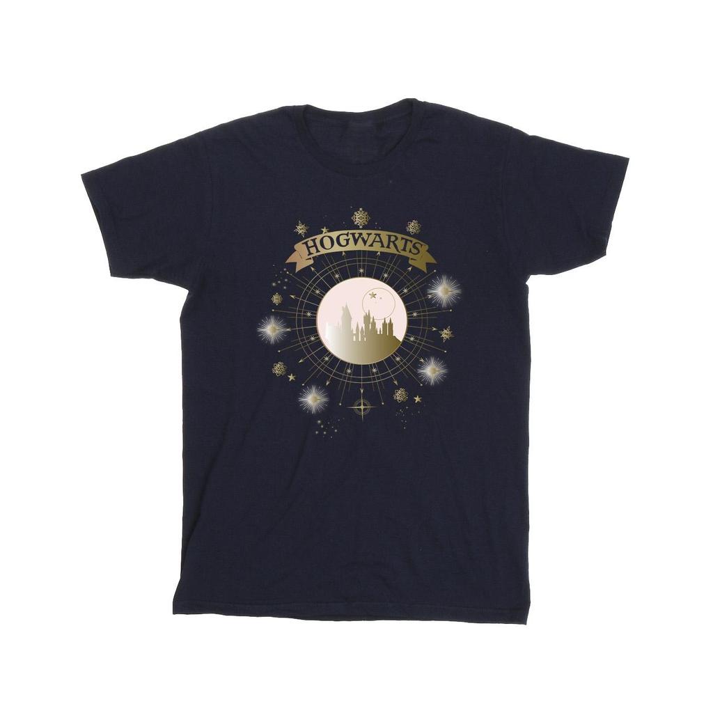 Harry Potter Mens Hogwarts Yule Ball T-Shirt