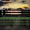 M MAXIMUMCATCH Maxcatch Mountain Stream Fly Rod Weight Carbon Rod Разработано для ловли рыбы нахлыстом Вес 4 Ультра-легкий 1/2/3 (2 штуки по 6 футов 6 дюймов)