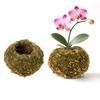 Горшок-шар из мха, Натуральный зеленый держатель для бонсай, Декоративный горшок-плантер в виде шара из мха для дома, сада, свадебной вечеринки