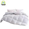 All-Season 100% Cotton Comforter