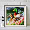New Arrival 5D DIY Full Circle Diamond Painting "Duck" Embroidery Cross Stitch Home Decor Gift