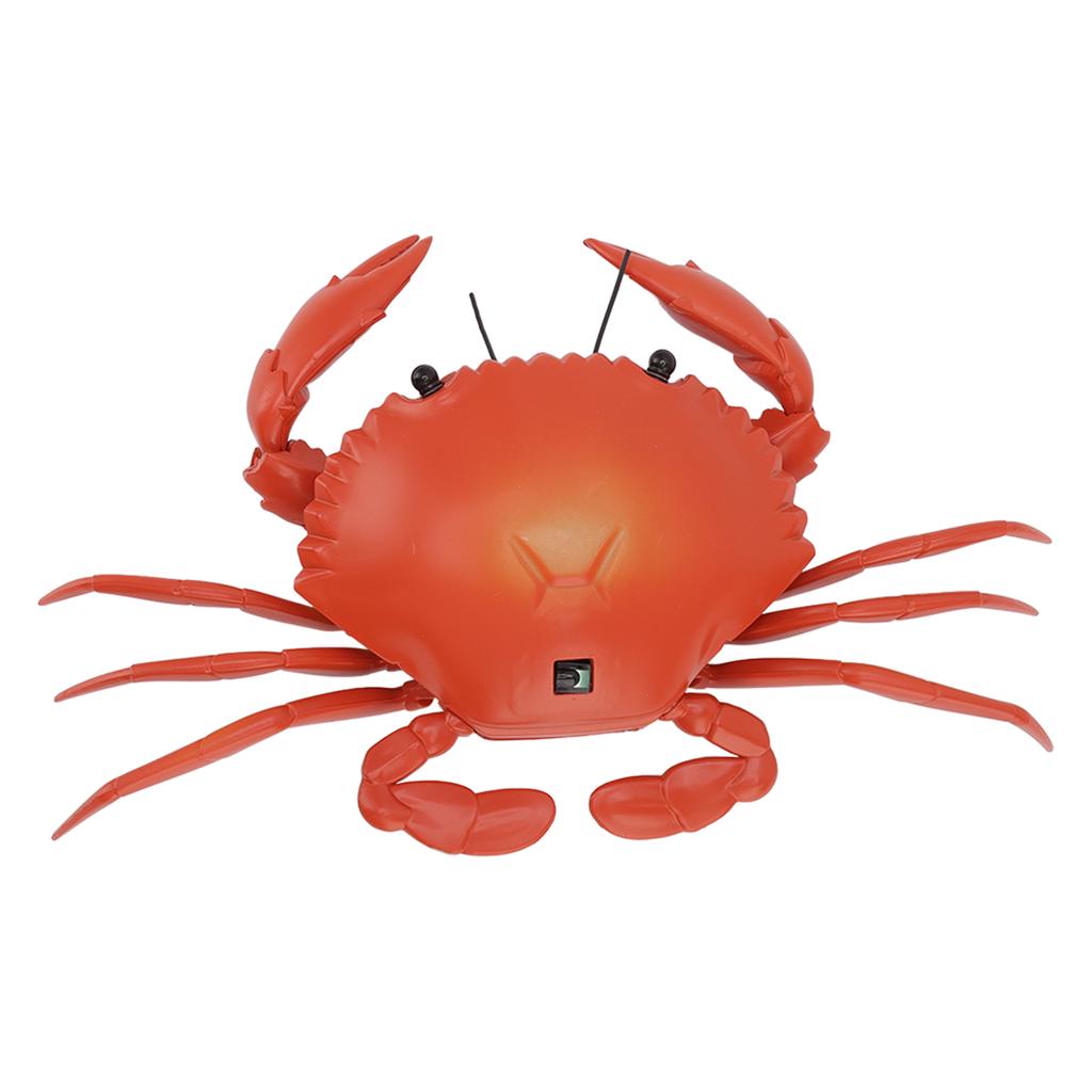 RC Crab Toy Educational Simulated Sea Life Animals Electric Crab Animal Model for Kids Birthday