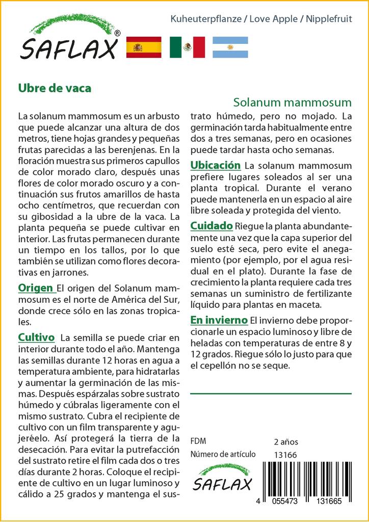 SAFLAX Love Apple / Nipplefruit - 10 семян - Solanum mammosum