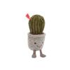 Jellycat Серия 'Растения' Озорной Суккулент Кактус Цветная Кукла Плюшевая Кукла Высота 19 см