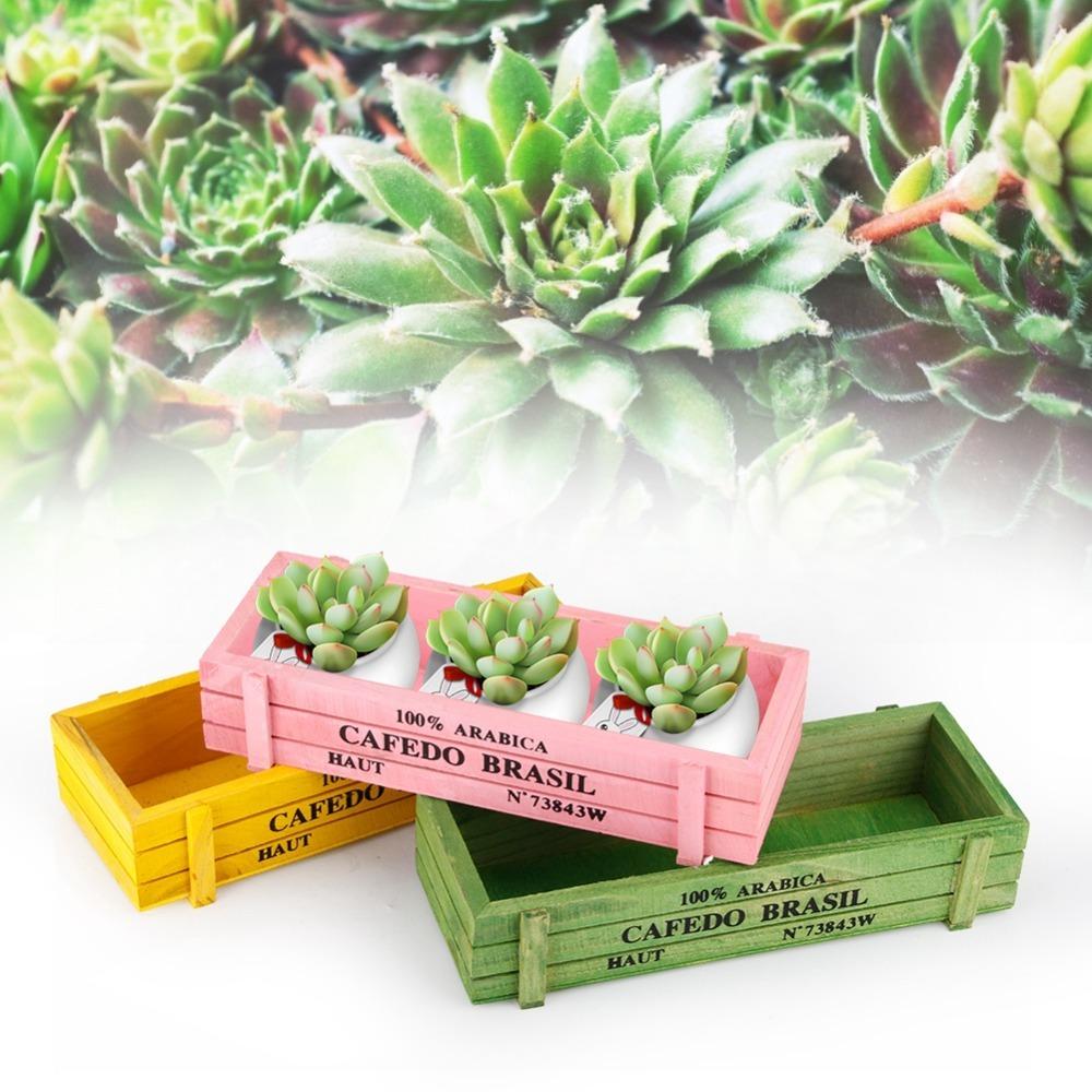 3PCS Multifunctional Succulent Plant Pot Wood Storage Box Decoration Durable Desktop Storage Case