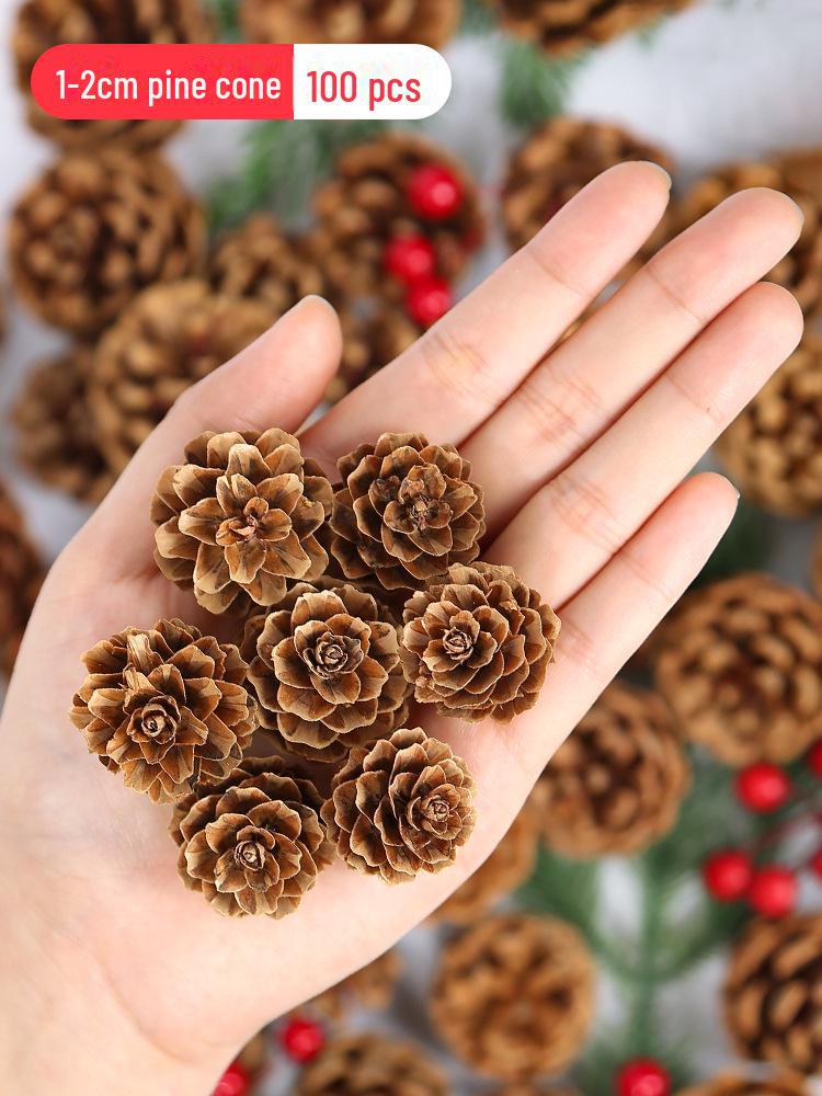 Pine Cone DIY Decoration Kit: Branch, Log, Dried Flowers for Creative Kindergarten Hanging Crafts