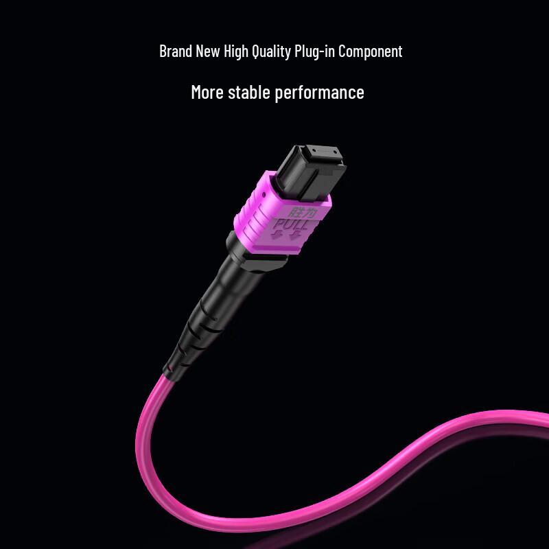 Shengwei 400G/800G Data Center MPO OM4 Fiber Patch Cable