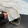 Foreign Style Winter Fashion Popular Chain New Shoulder Bag Women's Light Luxury Commuting Versatile Simple Messenger Bag