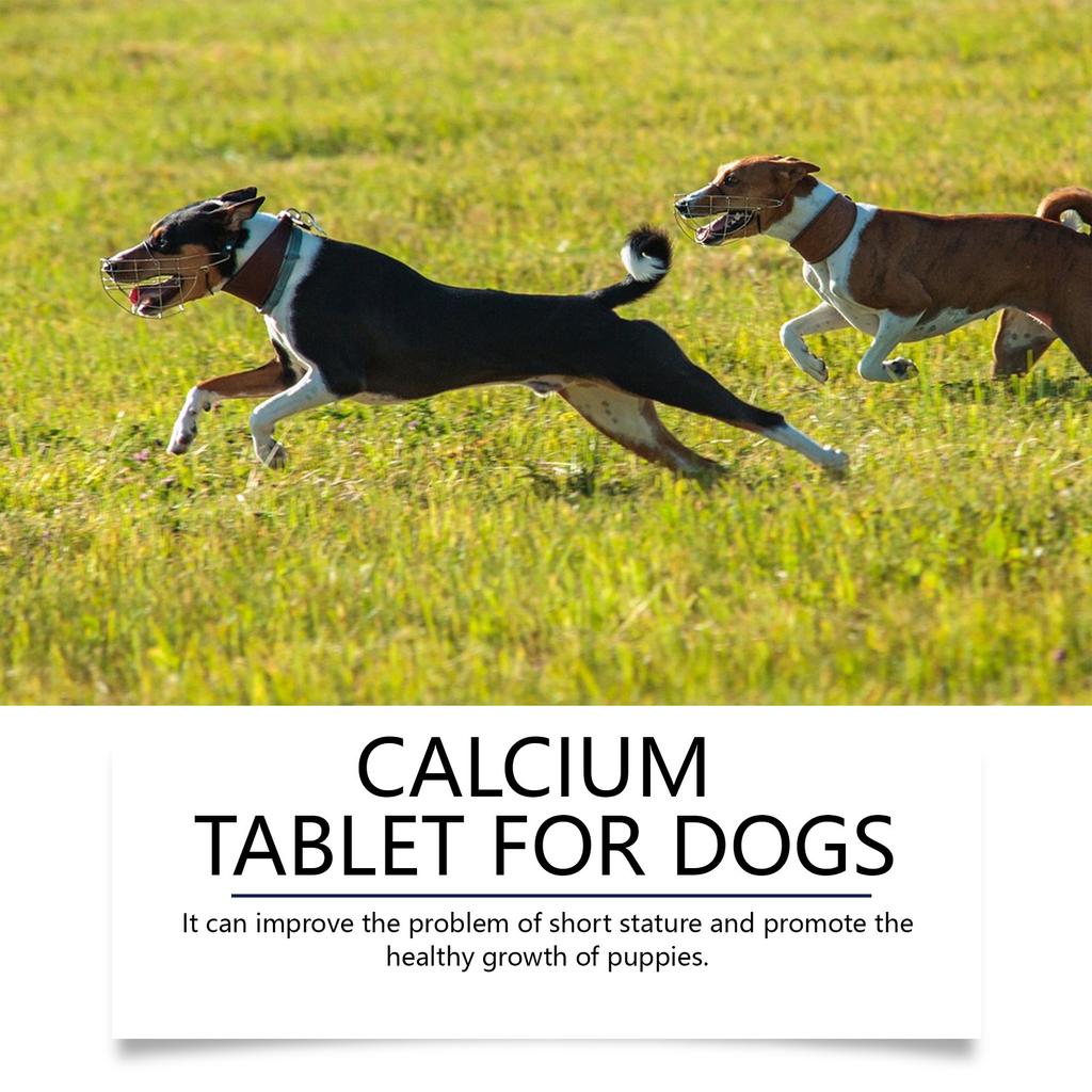 YEGBONG Calcium Phosphorus for Dogs Supplement, Provide Calcium for Puppies, Promote Healthy Dog Bones and Puppy Growth Rate, Dog Bone Supplement