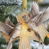 Bird Christmas Ornament Christian Symbol Hanging Decoration Bird And Faith Token Ornament for Xmas Tree Entryway Living Room Holiday Decor