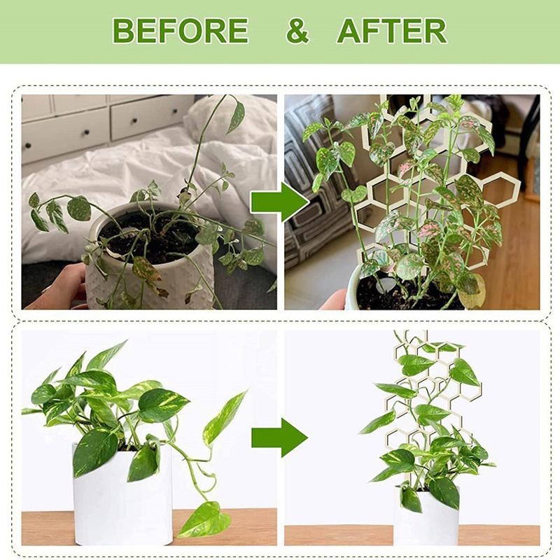 Honeycomb Wooden Plant Trellis 1Pcs Creative Stand for Indoor Potted Plants