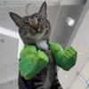 2Pcs Cat Muscle Arm 3D Printed Funny Cat Neck Arm with Muscle Superhero Cosplay Costume Funny Pet Photography Props Birthday Party Supplies