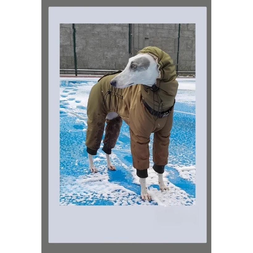 Winter Dog Clothes Windproof Warm Dogs Clothing Large Pet Dog Coat Overalls Accessories Jumpsuit Skinny Dog Greyhound Product