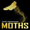 Moths by Jane Hennigan Paperback Book 9781915202697