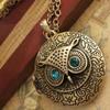 Women Blue Eyes Necklace Vintage Owl Long Necklace Phase Box Sweater Chain Jewelry