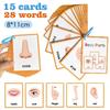 15 Cards Children Body Parts Cognitive Card Montessori Toys Flash Cards for Kid Education Enlightenment English Learning Card