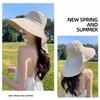 1 шт. Шаль с большими полями, дышащая шляпа, солнцезащитный козырек из полиэстера, ветрозащитная шляпа, защита от солнца, многоцветная