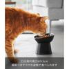 Yamazaki Ceramic Slow Feeder Pet Food Bowl nooks Slanted Height 11.5cm Microwave Dishwasher Safe Black 10558