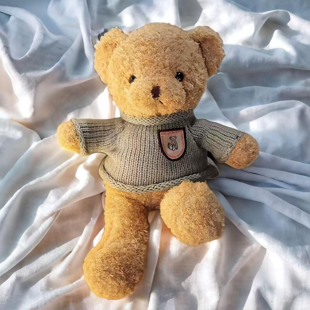 Plush Teddy Bear Gift Set: Birthday Ring Toss Doll & Sweater Bouquet, Perfect for Children's Day