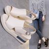 Thick Bottom Slope Heeled Shoes Women Outer Wear One Word Buckle Sandals Slippers Large Size High Heeled Sandals Women
