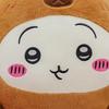Chiikawa Capybara & Hachiware Usagi Plush Pillow - Kids' Birthday Gift