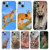 Чехол для телефона iPhone 17 Air Cases iPhone 16 15 12 13 14 Pro Max SE 7 8 Plus iPhone11 Прозрачный чехол Африканская рысь Каракал