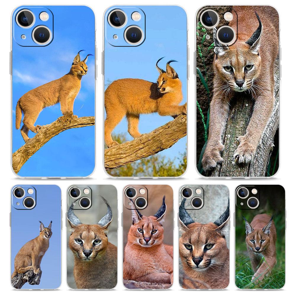 Чехол для телефона iPhone 17 Air Cases iPhone 16 15 12 13 14 Pro Max SE 7 8 Plus iPhone11 Прозрачный чехол Африканская рысь Каракал