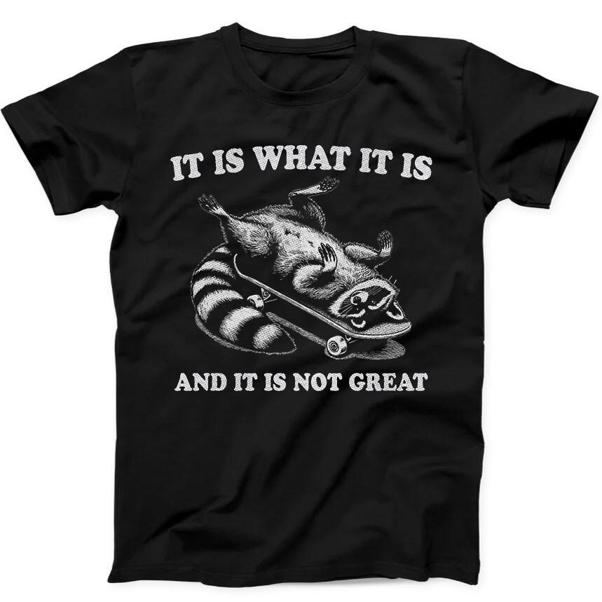 It Is What It Is And It's Not Great Raccoon Funny Gift Black T Shirt 242