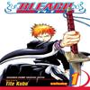 Bleach Vol. 1 by Tite Kubo Paperback Book 9781591164418