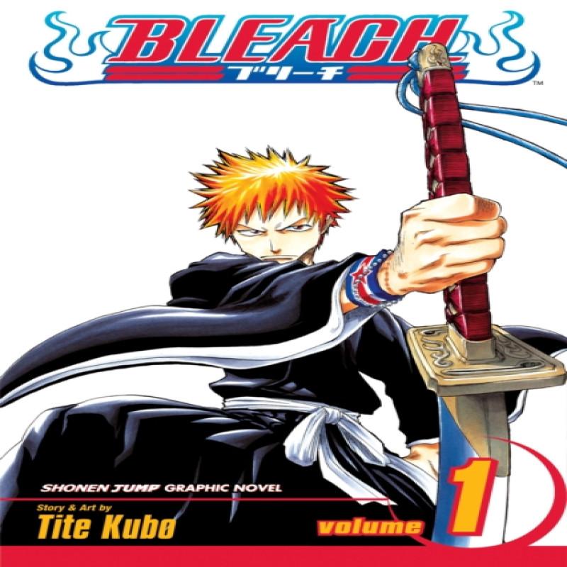 Bleach Vol. 1 by Tite Kubo Paperback Book 9781591164418