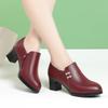 Fashion Thick Heel Deep Mouth Pumps Women Shoes 2025 Black High Heels Shoes Ladies Leather Shoe Office