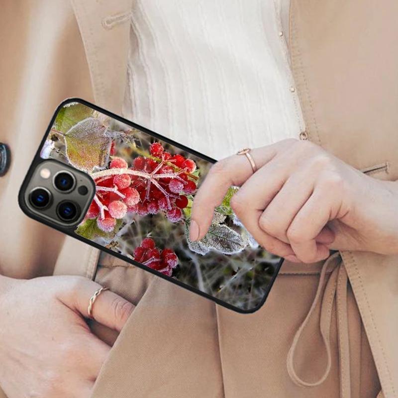 Ледяной Зимний Декабрь Магнитный Чехол Для Телефона ДЛЯ APPLE iPhone 17 Air 16 14 13 12 Pro Max 15 Plus Беспроводная Зарядка С Чехлом MagSafe