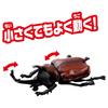 Takara Tomy Ania's Egg Insect Collection DP-BOX Animal Dinosaur Toy for Ages 3 and Up