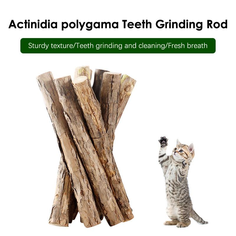 20 шт. палочек для кошачьей мяты, органические игрушки для кошек, натуральные растительные жевательные палочки, игрушки для чистки зубов у кошек, игрушки для жевания моляров у кошек, товары для животных